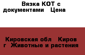 Вязка КОТ с документами › Цена ­ 1 000 - Кировская обл., Киров г. Животные и растения » Кошки   